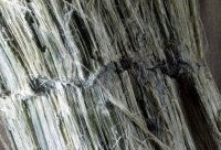 ��� ����� ��������?