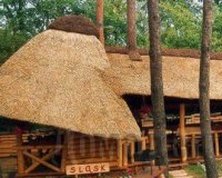 ����� �� ��������� ����������: ����� � ������