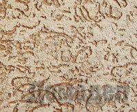 �������� ������������ ����������