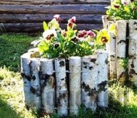 ������ ������ ��� ������ ������ ������