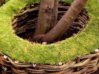 ����������� ������ ������ ������