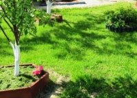 ����������� ������ ������ ������