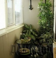 ������������ ���������� ������������