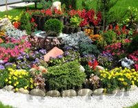 ���������� ����� ������ ������