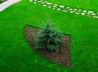 ������ ���������� ������