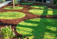 ������ ���������� ������