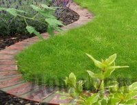 ������ ���������� ������