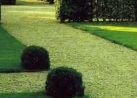 ������ ���������� ������