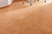 ��� ������ ��������� ��������� �������� ���������?