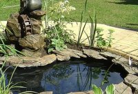 ������������ ���� �� ������������ ����������