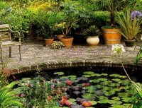 ������������ ���� �� ������������ ����������