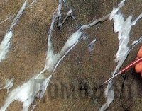 ������������ ������� �������� � ���������