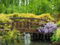 �������� �������� � ����������� �������