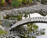 ����������� ������ ����� ����