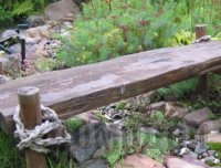 ����������� ������ ����� ����