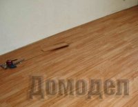 ��� �������: ���� ����� ��� ������� ������?