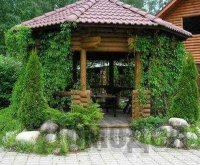 ������������ ������� �������