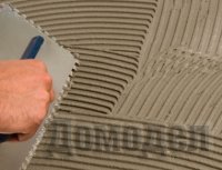 ���� ��� ������ � �����: ��� �������