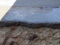 ��� ������ ������ �������� ��� � ������� ����