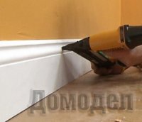 ��������, ��� ������ ������ ��������� ������ ������