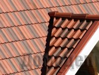 ������, ��� ��������� �������?