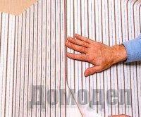 ��� �������� ������ ���� �� �����?