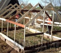 ������ �������