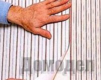 ��� ��������� ������ ����