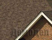 ������ �������� - ����� � ������, � ����� ��� �����������