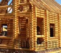 ������������� ����������� ����