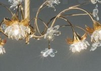 ������������ ����������� �����