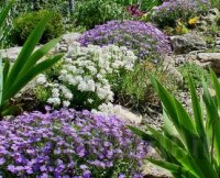 ����� ������� ������� �������� ��� �������