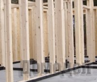 ����� ����������� �����, ��������� ��� ���������?