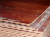 ��� ����� ����������� ���������������� ������?