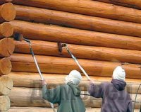 �������� �������� ���� ����������� ����