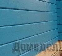 �������� �������� ���� ����������� ����