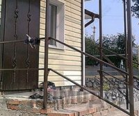 ������������� �������� ��� �������� ����