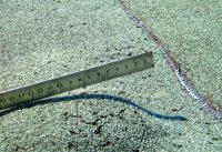 ������� ���������� ������