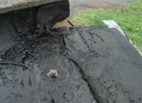 ������� ���������� ������