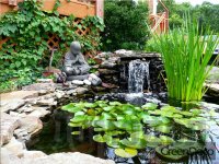 ������������ �����