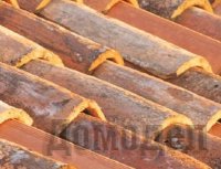 �������� �� �����