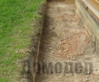 ��� ���� ����� ��������