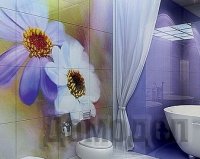 ���������� � ��������� ��������