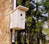 �������� ����������