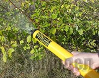 ������� ��� ������� �������������