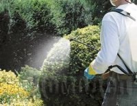 ������� ��� ������� �������������