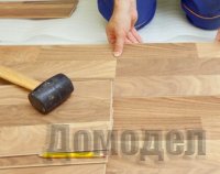 ������� ��� ��������: ��� �������?