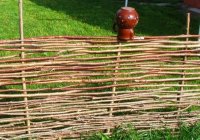 ������������ ����� ������ ������ �� �������