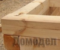 ��� ��������� �������� ���� ��� ����