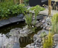 ���� ������ ���������� � ���������